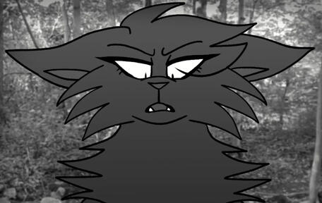 ShadowedKing